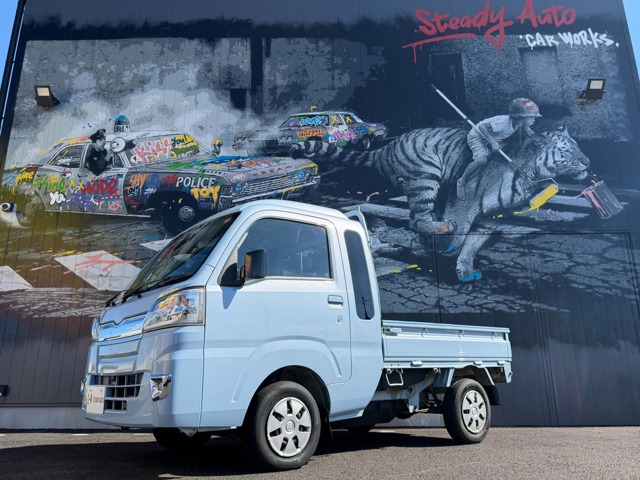 Daihatsu Hijet Truck 1