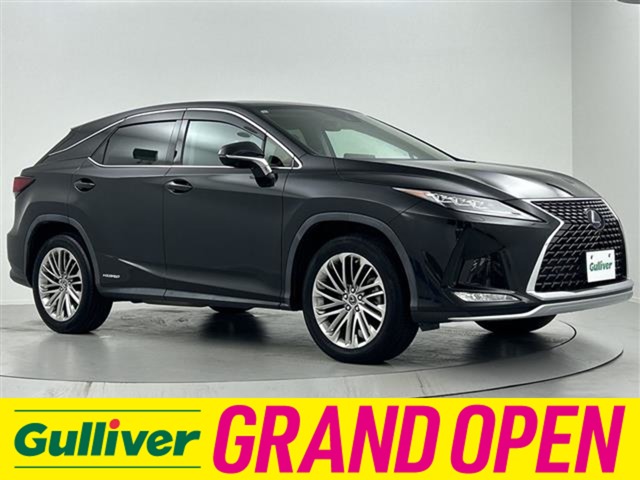 2019 Lexus RX