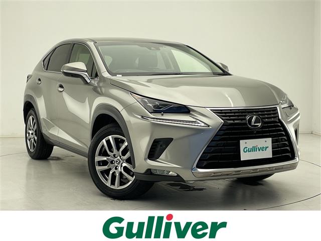 Lexus NX 1