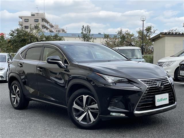 2018 Lexus NX