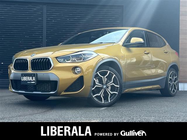 2019 BMW X2