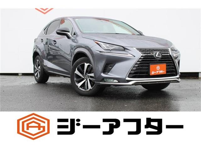 Lexus NX 1