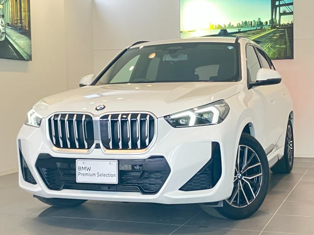 BMW X1 1