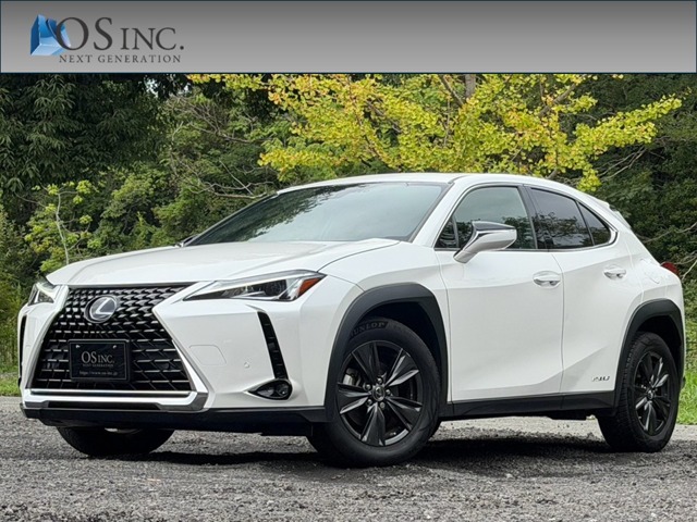 Lexus UX 1