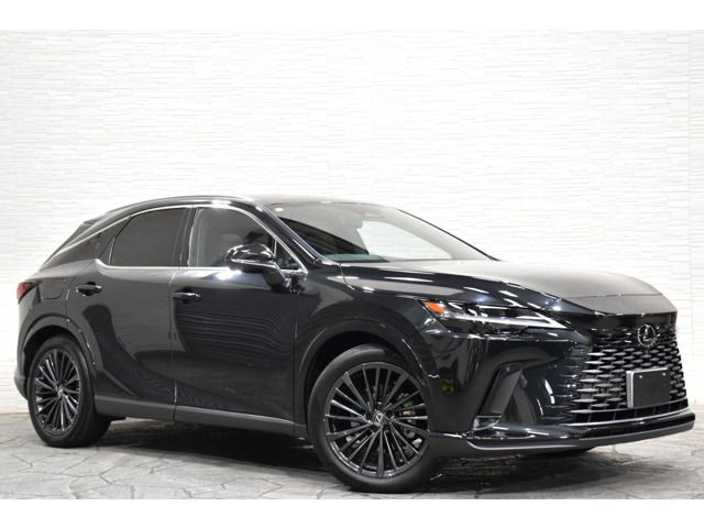 2024 Lexus RX