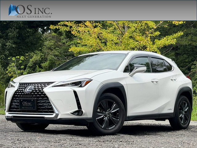 2021 Lexus UX