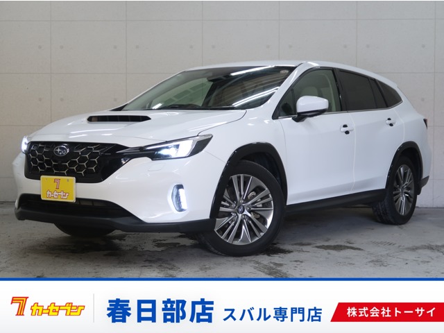 Subaru Levorg Layback 1
