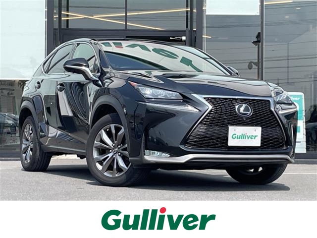 2017 Lexus NX