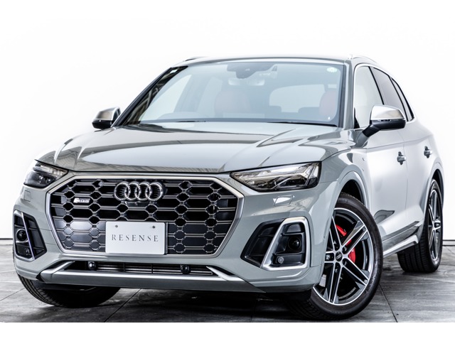 Audi SQ5 1