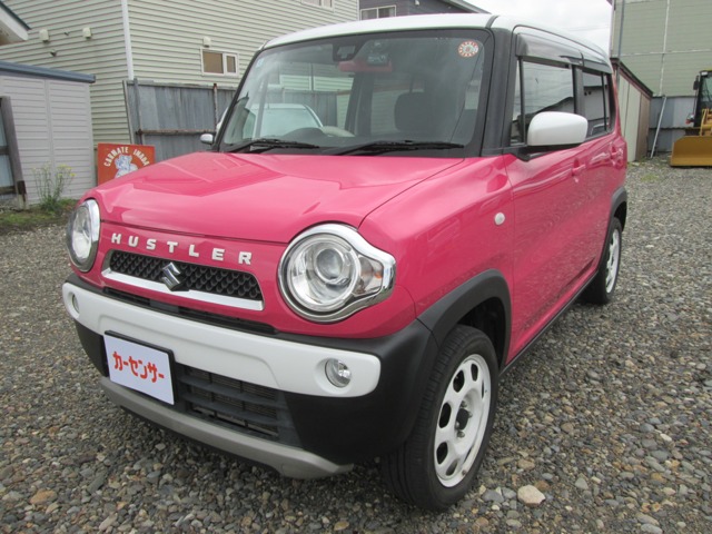 Suzuki Hustler 1