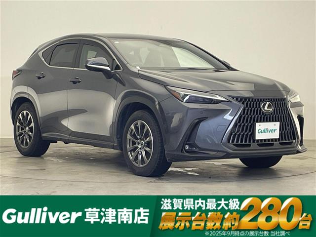 Lexus NX 1