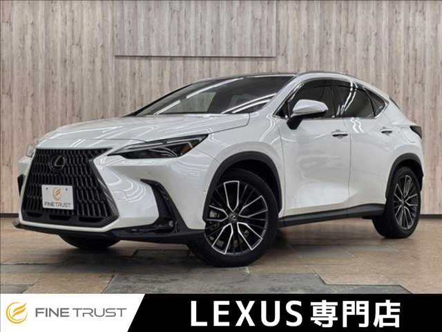 Lexus NX 1
