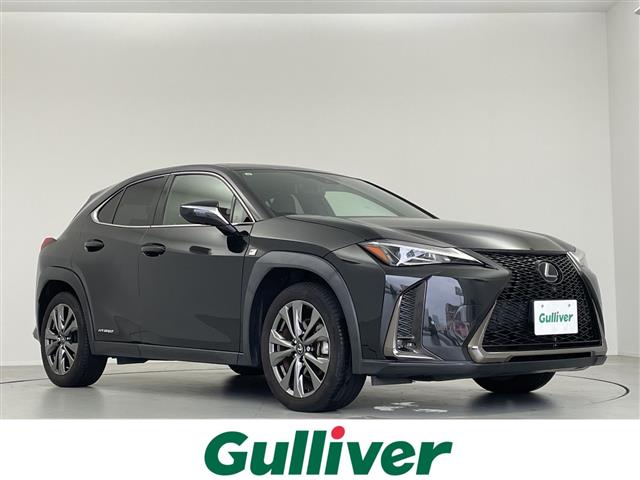 2019 Lexus UX