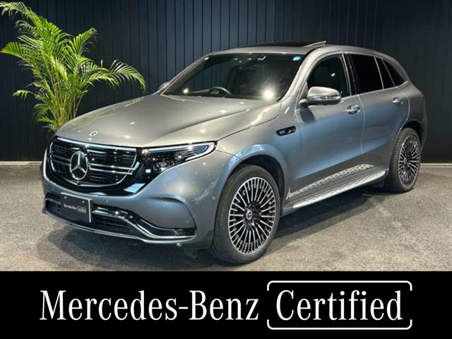 2022 Mercedes-Benz EQC