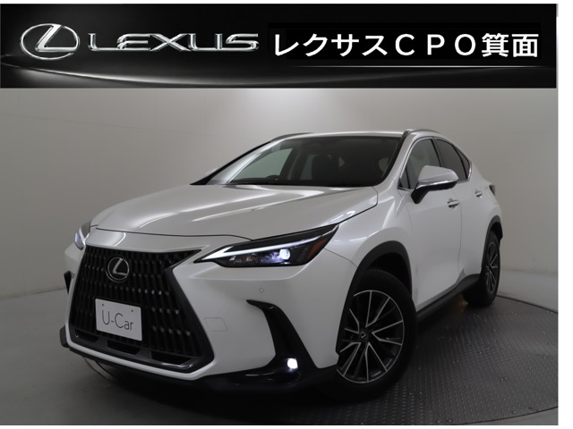 Lexus NX 1