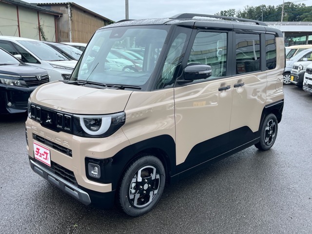 Mitsubishi Delica Mini 1