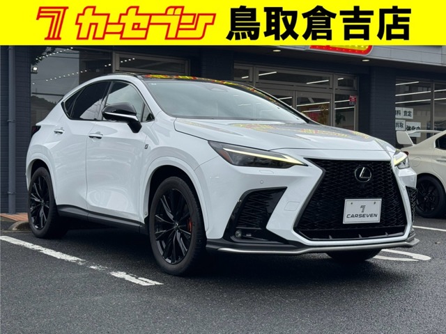 Lexus NX 1