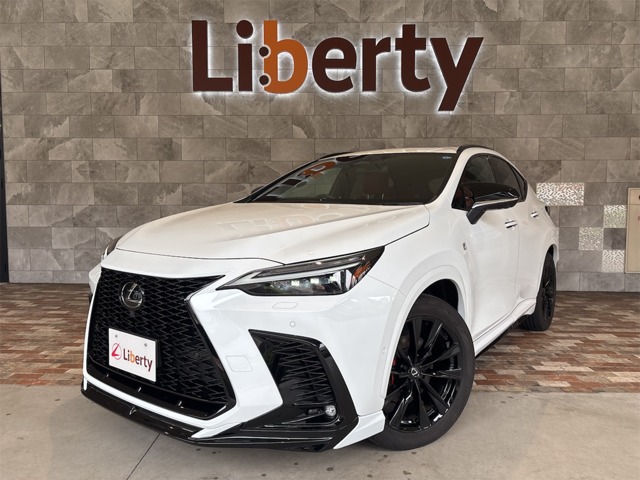 2025 Lexus NX