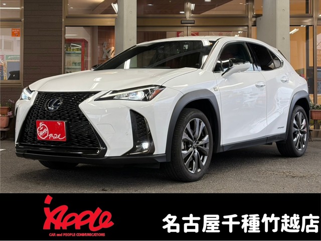 2020 Lexus UX