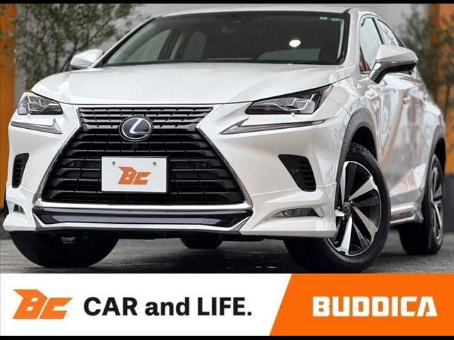 2018 Lexus NX