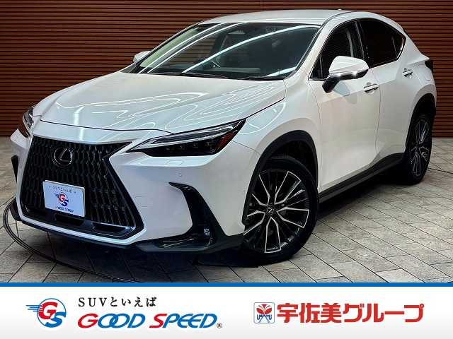 Lexus NX 1
