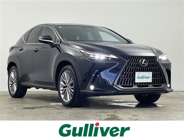 Lexus NX 1