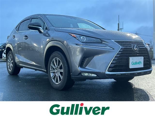 Lexus NX 1