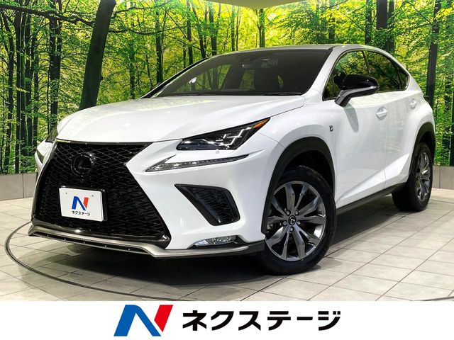 2020 Lexus NX