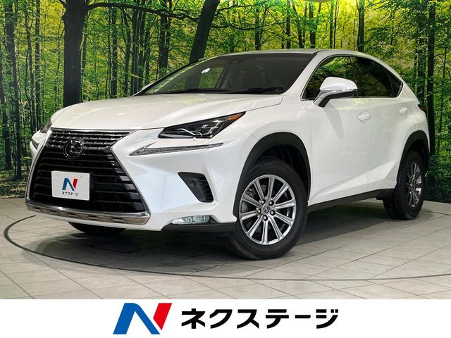 2018 Lexus NX
