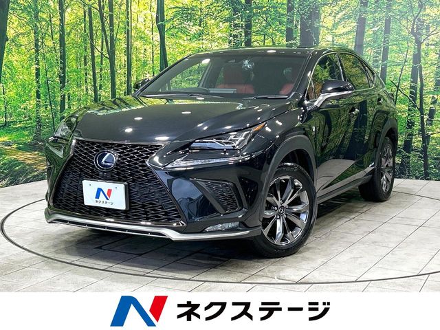 Lexus NX 1