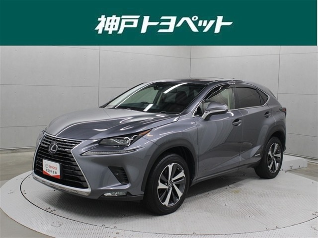 2018 Lexus NX