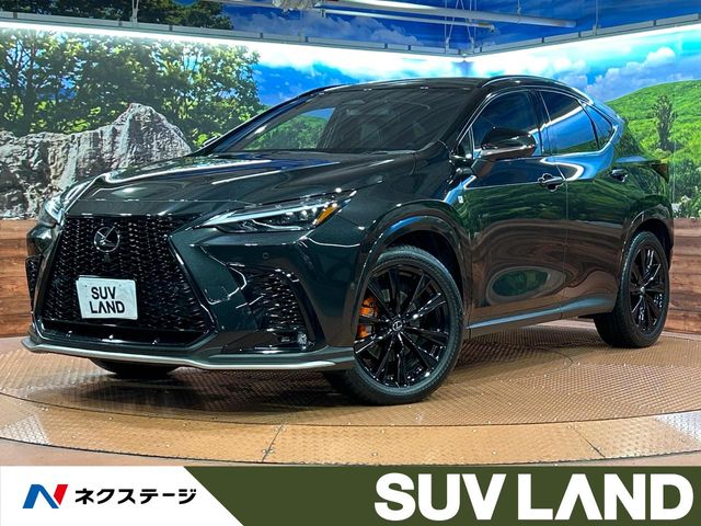 Lexus NX 1