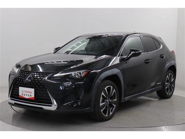 2021 Lexus UX