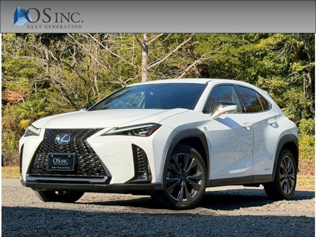 Lexus UX 1
