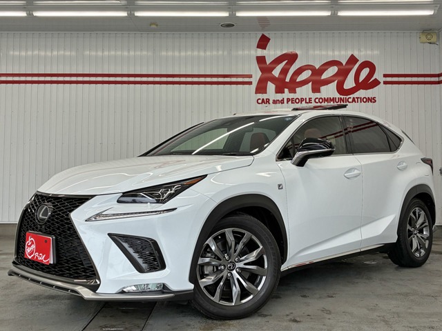 2019 Lexus NX