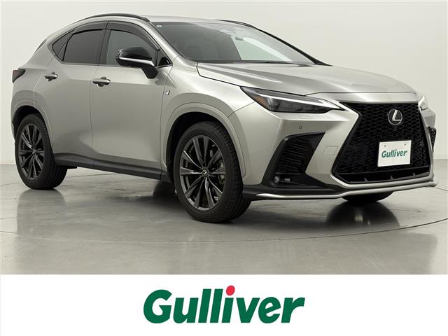 Lexus NX 1