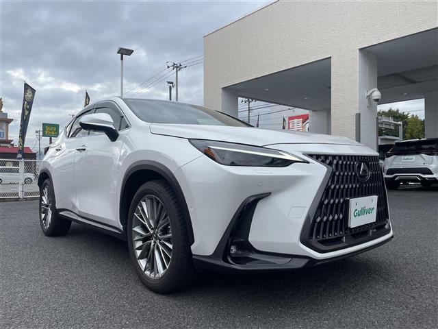 2023 Lexus NX