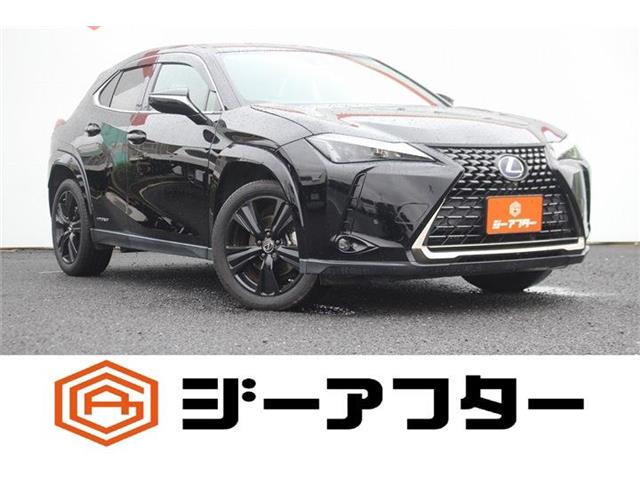 2021 Lexus UX