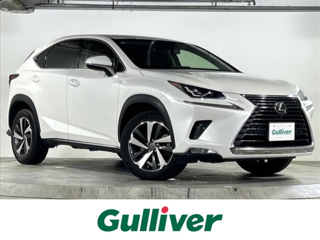 Lexus NX 1