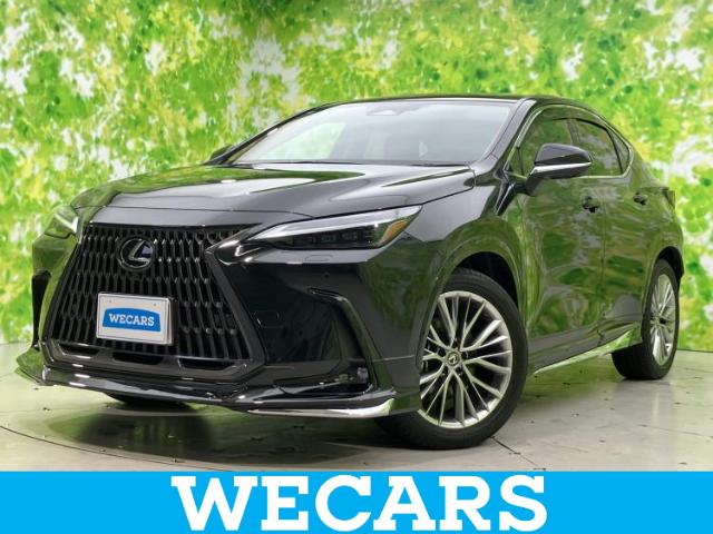 2024 Lexus NX