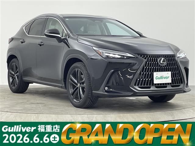Lexus NX 1