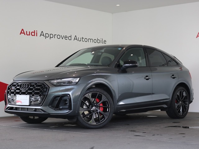 Audi SQ5 Sportback 1