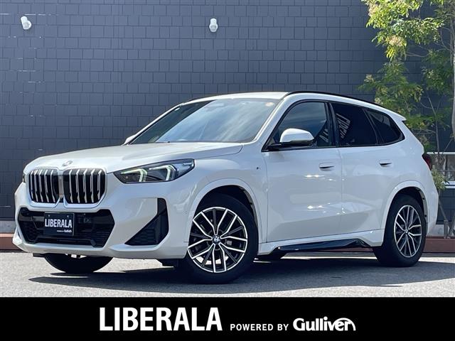 BMW X1 1