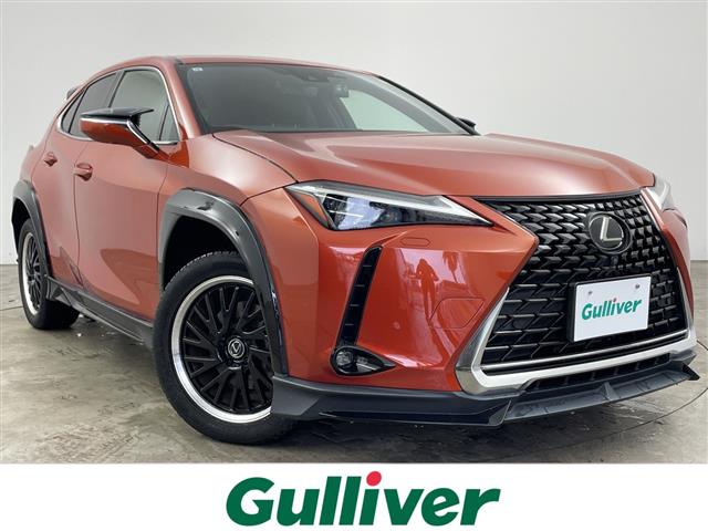 2019 Lexus UX