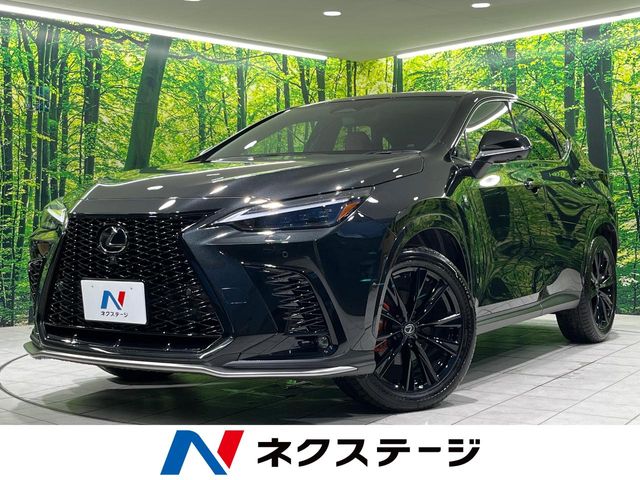 2025 Lexus NX