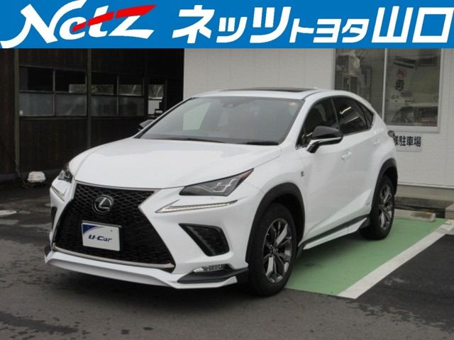 2019 Lexus NX