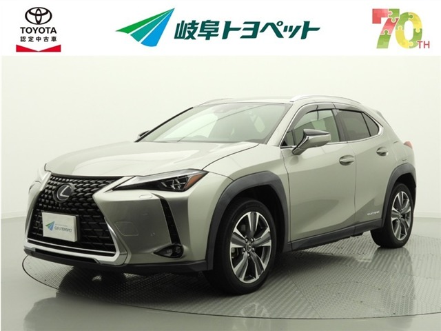 2021 Lexus UX300e