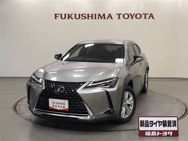 2019 Lexus UX