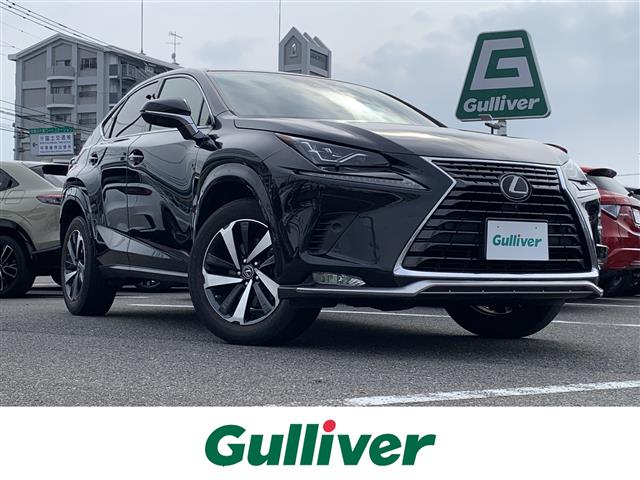 2021 Lexus NX