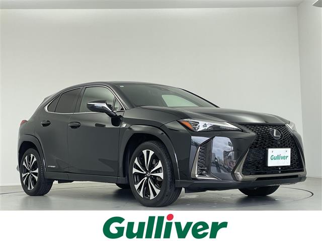 Lexus UX 1